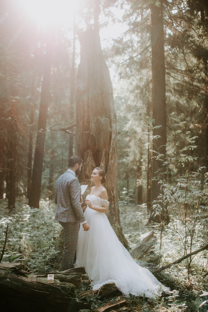 свадьба в лесу